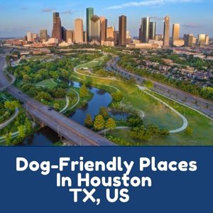 Dog-Friendly Places In Houston