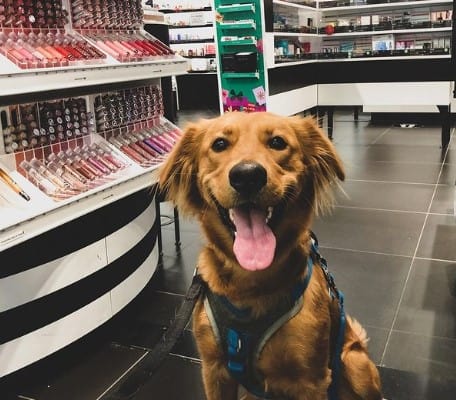 Is Sephora Pet Friendly