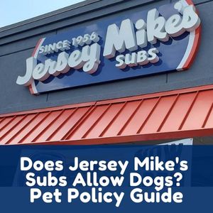Does Jersey Mike’s Subs Allow Dogs