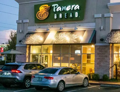 Does Panera Bread Allow Dogs