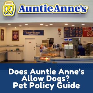 Does Auntie Anne’s Allow Dogs