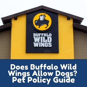 Does Buffalo Wild Wings Allow Dogs