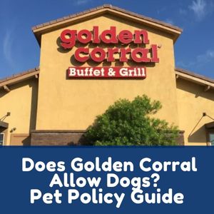 Does Golden Corral Allow Dogs