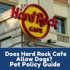 Does Hard Rock Cafe Allow Dogs