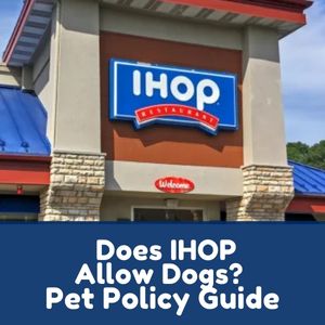Does IHOP Allow Dogs