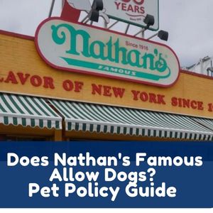 Does Nathan’s Famous Allow Dogs