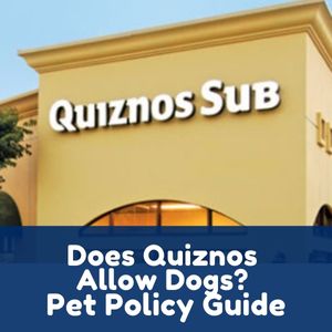 Does Quiznos Allow Dogs
