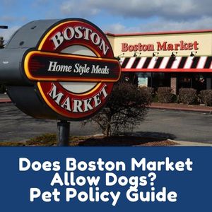 Does Boston Market Allow Dogs