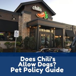 Does Chili's Allow Dogs?
