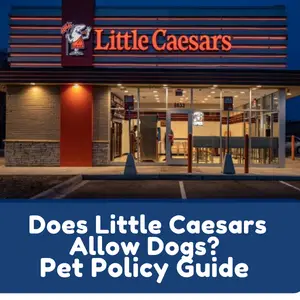 Does Little Caesars Allow Dogs