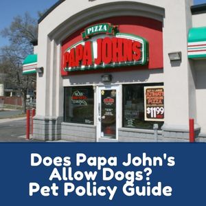 Does Papa John's Allow Dogs