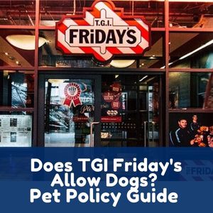 Does TGI Friday's Allow Dogs