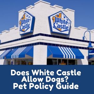Does White Castle Allow Dogs