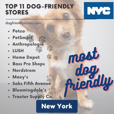 11 Most Dog Friendly Stores New York