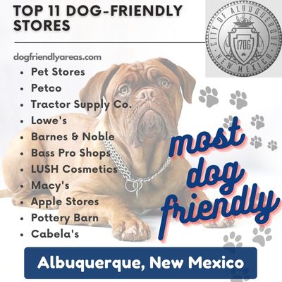 11 Most Dog Friendly Stores in Albuquerque, New Mexico