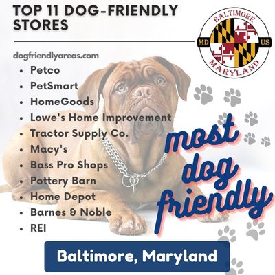 11 Most Dog Friendly Stores in Baltimore, Maryland