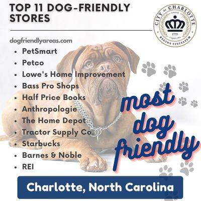 11 Most Dog Friendly Stores in Charlotte, North Carolina