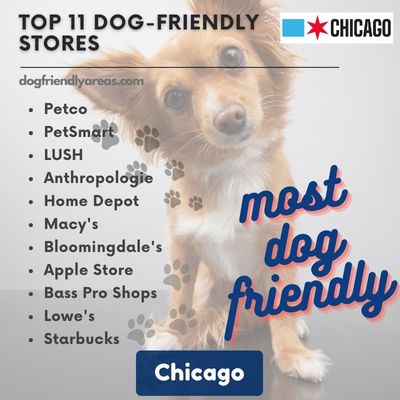 11 Most Dog Friendly Stores in Chicago