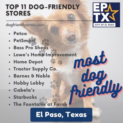 11 Most Dog Friendly Stores in El Paso, Texas