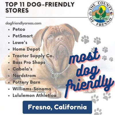 11 Most Dog Friendly Stores in Fresno, California
