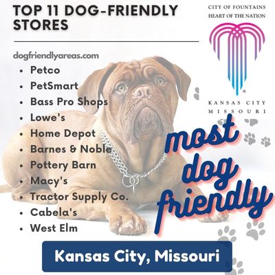 11 Most Dog Friendly Stores in Kansas City, Missouri