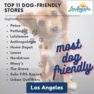 11 Most Dog Friendly Stores in Los Angeles