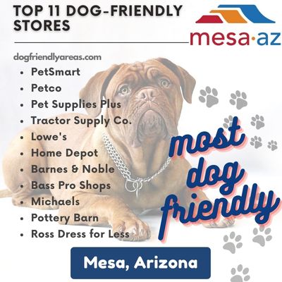 11 Most Dog Friendly Stores in Mesa, Arizona
