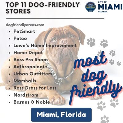 11 Most Dog Friendly Stores in Miami, Florida