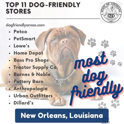 11 Most Dog Friendly Stores in New Orleans, Louisiana
