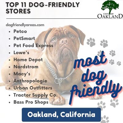 11 Most Dog Friendly Stores in Oakland, California