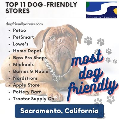 11 Most Dog Friendly Stores in Sacramento, California