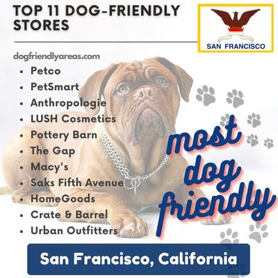 11 Most Dog Friendly Stores in San Francisco, California