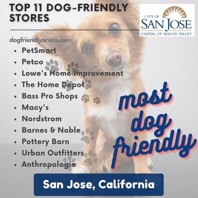 11 Most Dog Friendly Stores in San Jose, California