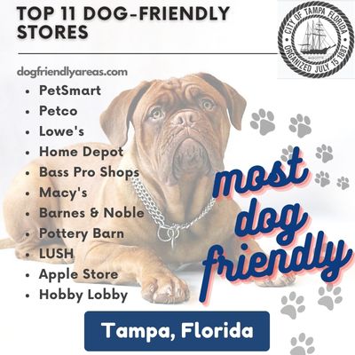 11 Most Dog Friendly Stores in Tampa, Florida