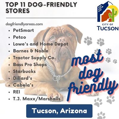 11 Most Dog Friendly Stores in Tucson, Arizona