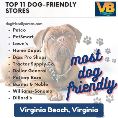 11 Most Dog Friendly Stores in Virginia Beach, Virginia