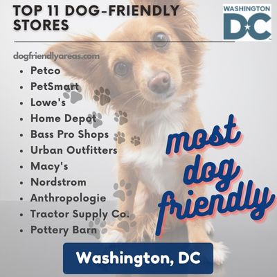 11 Most Dog Friendly Stores in Washington, DC