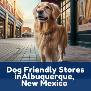 Dog Friendly Stores in Albuquerque, New Mexico