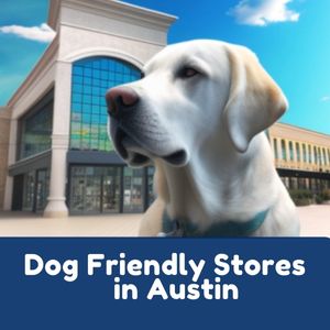 Dog Friendly Stores in Austin