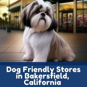 Dog Friendly Stores in Bakersfield, California