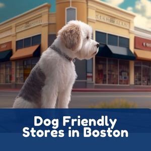 Dog Friendly Stores in Boston