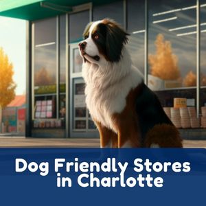Dog Friendly Stores in Charlotte