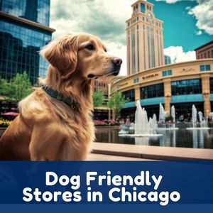 Dog-Friendly-Stores-in-Chicago-