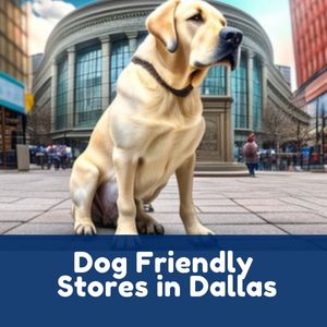 Dog Friendly Stores in Dallas
