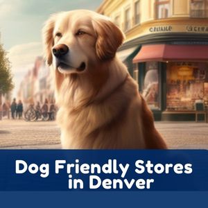 Dog Friendly Stores in Denver