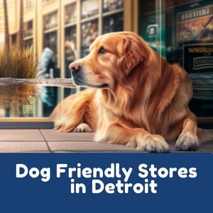 Dog Friendly Stores in Detroit