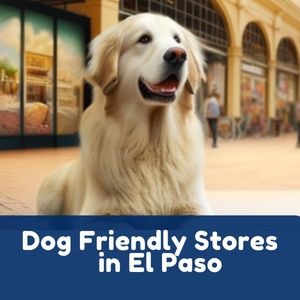 Dog Friendly Stores in El Paso