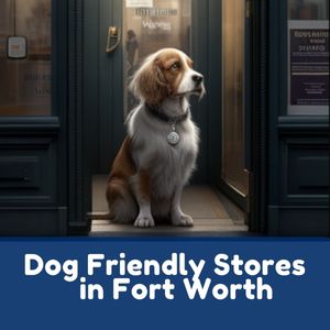 Dog Friendly Stores in Fort Worth