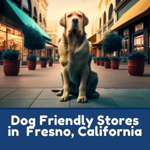 Dog Friendly Stores in Fresno