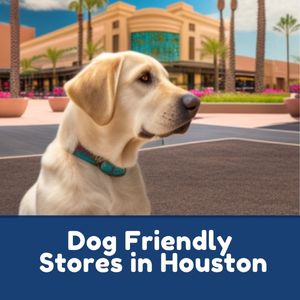 Dog Friendly Stores in Houston